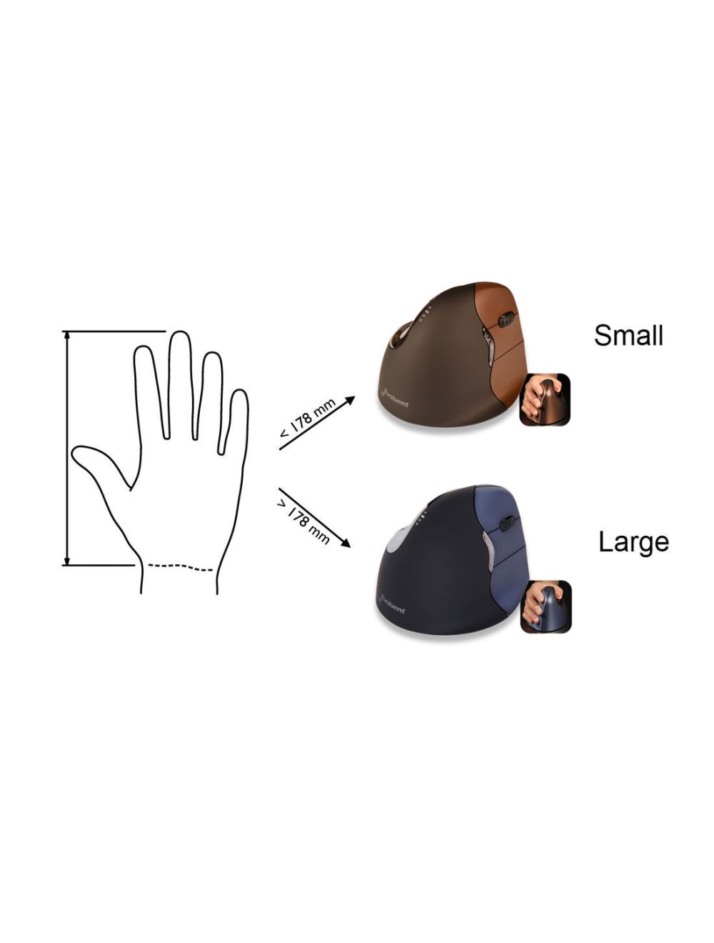 Evoluent VerticalMouse 4 Rechts Drahtlos
