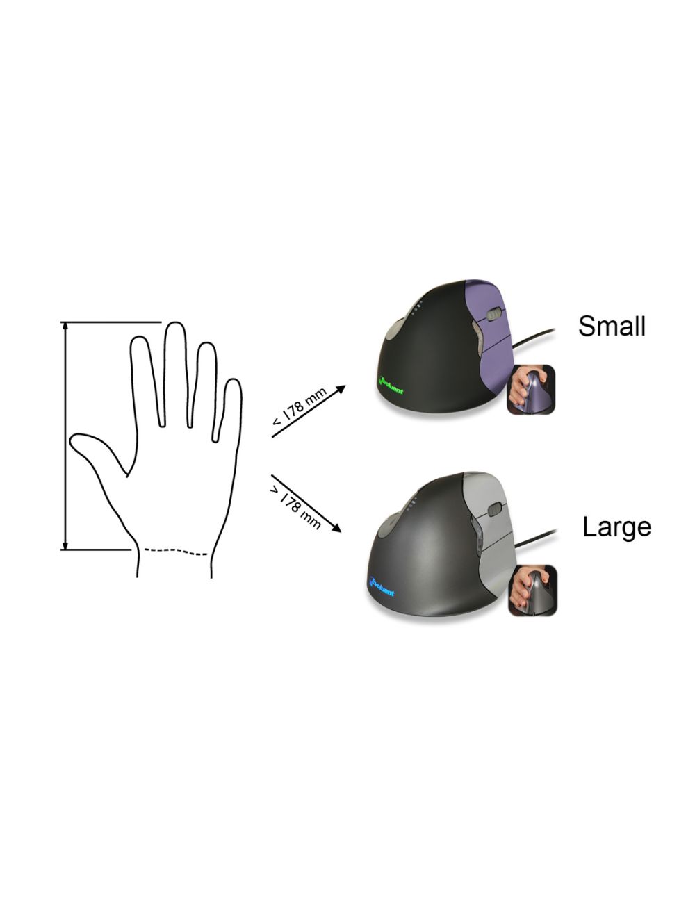 Evoluent VerticalMouse 4 Rechts